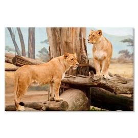 Tablouri canvas Leoaice Africa 21940