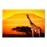Tablouri canvas Africa girafa 5421