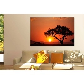 Tablouri canvas Copac Africa 19175