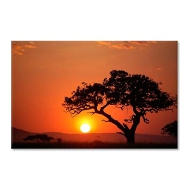 Tablouri canvas Copac Africa 19175