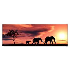 Tablouri canvas Familie elefanti 22692