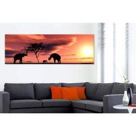 Tablouri canvas Elefanti Africa 22924