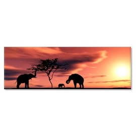 Tablouri canvas Elefanti Africa 22924