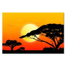 Tablouri canvas Apus in Africa 2655