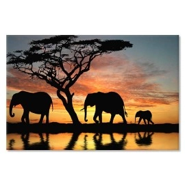 Tablouri canvas Elefanti la plimbare 5141