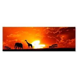 Tablouri canvas Africa la Apus 80605
