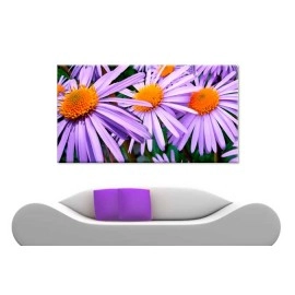 Tablouri canvas aster 57764