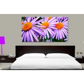 Tablouri canvas aster 57764