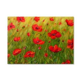 Tablouri canvas Barb camp cu maci 7050