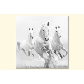 Tablouri canvas cai albi 48121