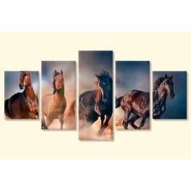 Tablouri canvas cai in galop