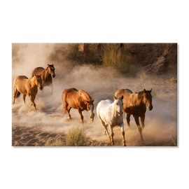 Tablouri canvas Cai salbatici 19745