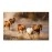 Tablouri canvas Cai salbatici 19745