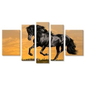 Tablouri canvas Cal in galop 5400