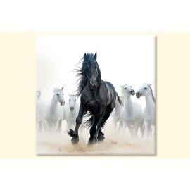 Tablouri living calul negru 65214