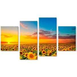 Tablouri canvas Campul soarelui 13421