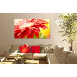 Tablouri canvas culori 1515