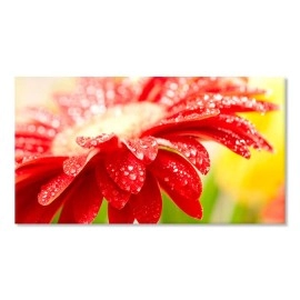 Tablouri canvas culori 1515