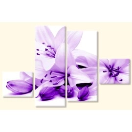 Tablouri canvas Crini mov 52200