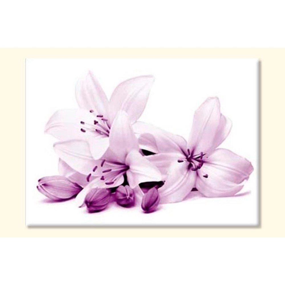Tablouri canvas Crini 25200