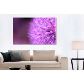 Tablouri canvas papadie 12678