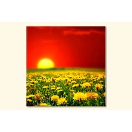 Tablouri canvas Papadie 55743