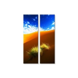 Tablouri canvas Iarba in desert 7795