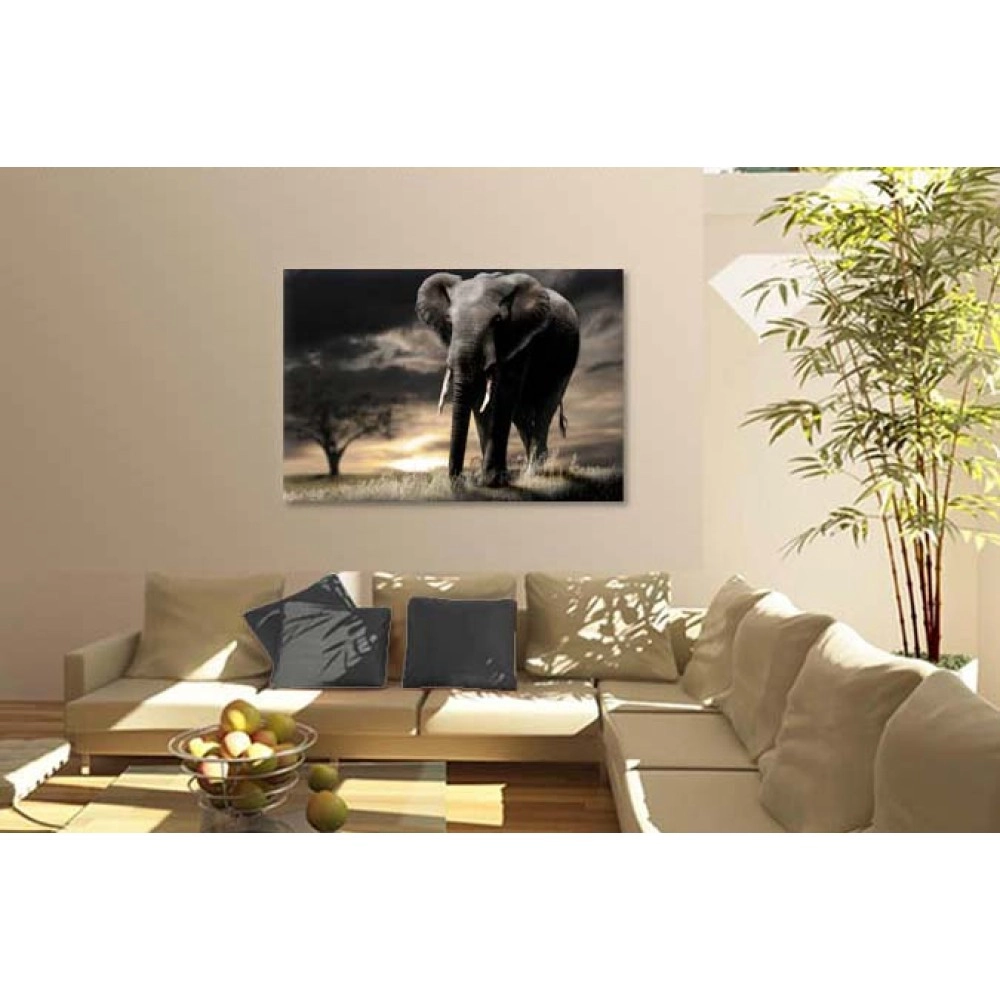 Tablouri canvas Elefant african 1533