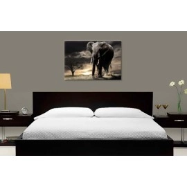 Tablouri canvas Elefant african 1533