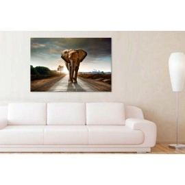 Tablouri canvas Elefant in Africa 6542