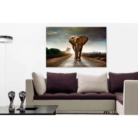 Tablouri canvas Elefant in Africa 6542