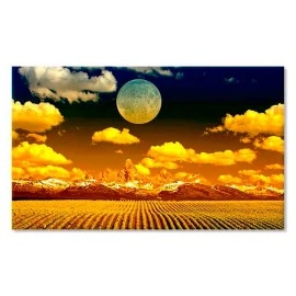 Tablouri canvas field 72984