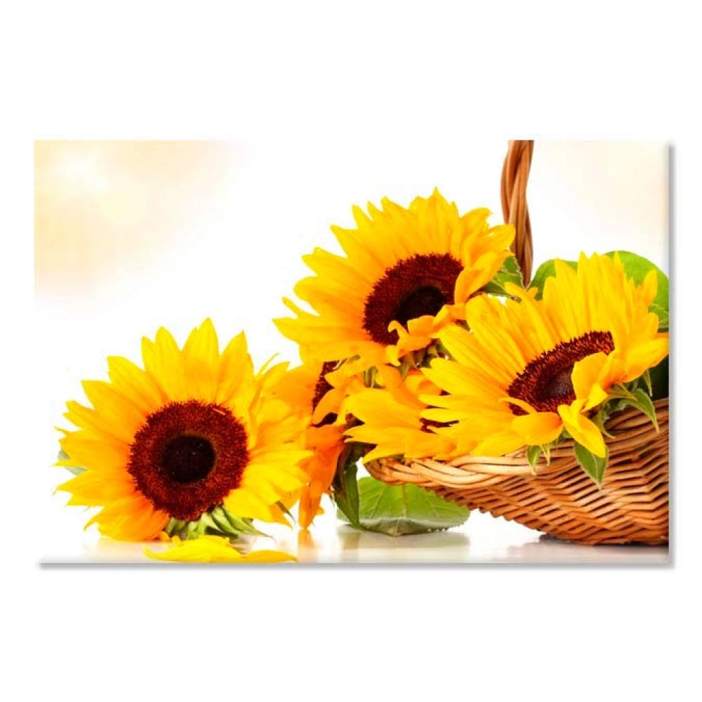 Tablouri canvas Floarea soarelui 6944