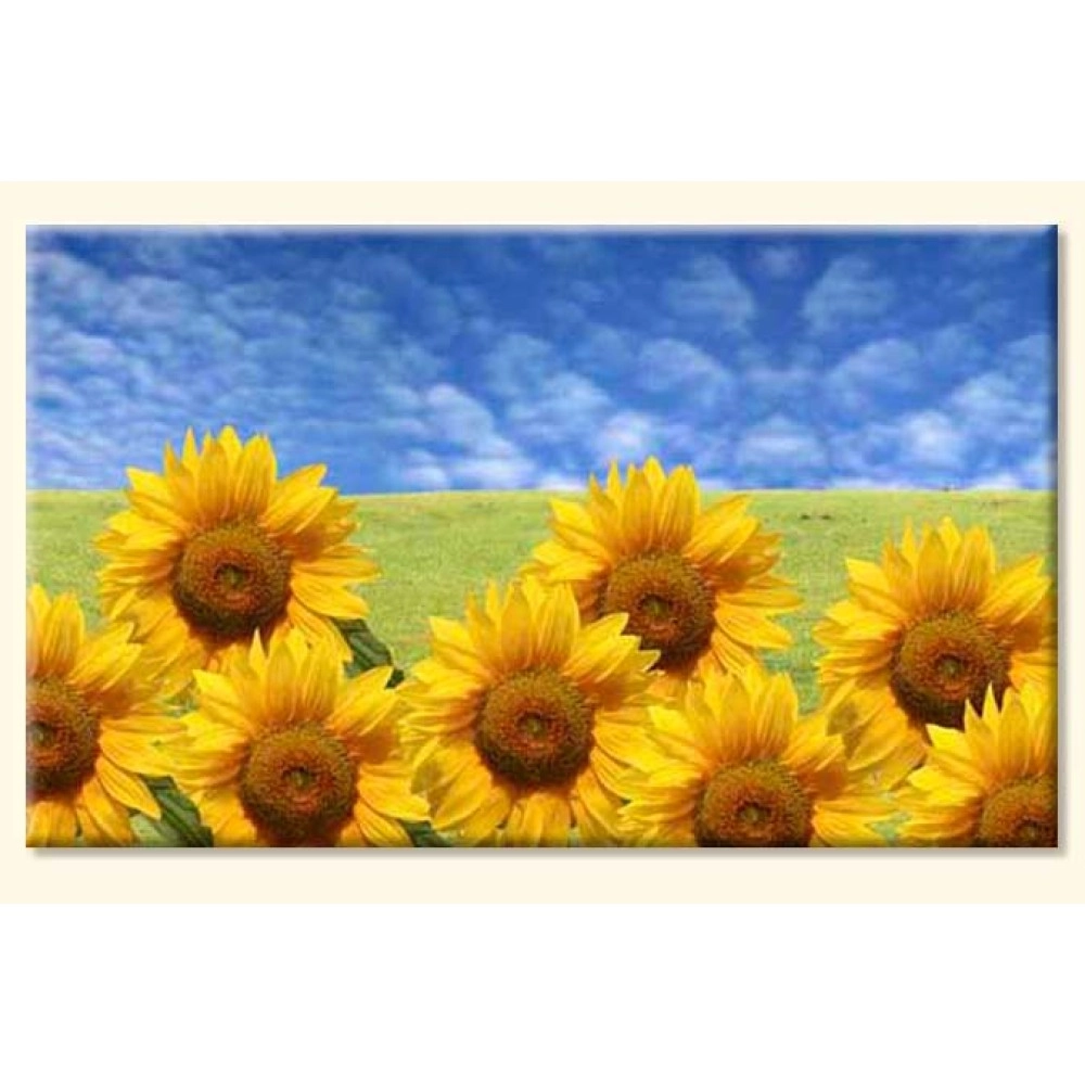 Tablouri canvas f.soarelui 2120