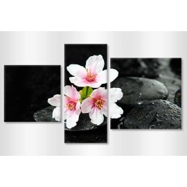 Tablouri canvas Flori de cires relax 7522