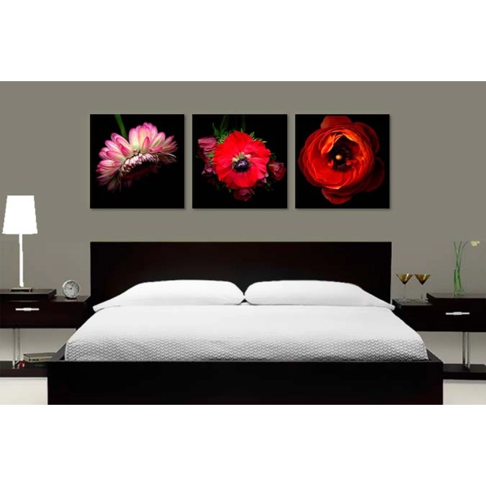 Tablouri canvas Flori close-up 67322
