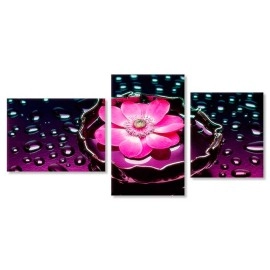 Tablouri canvas Floare si stropi 17648