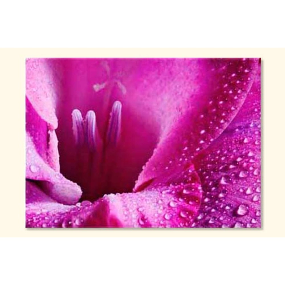 Tablouri canvas Pink Fl. 4032