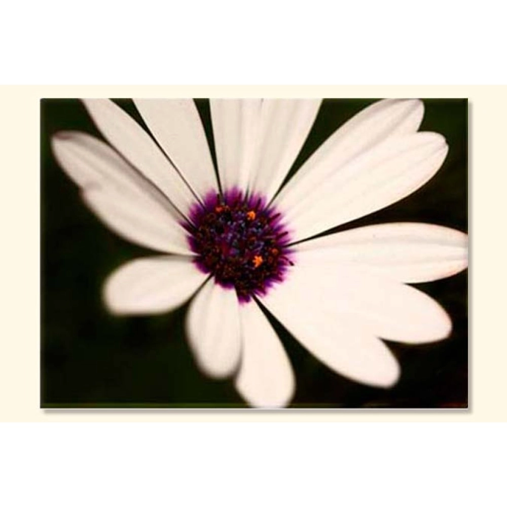 Tablouri canvas Margareta 5323