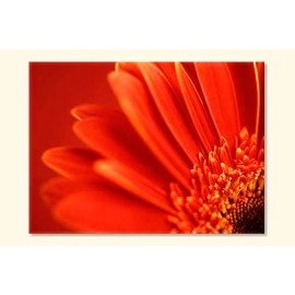 Tablouri canvas orange 7050