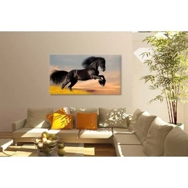 Tablouri canvas Cal rasa Friesian 1920