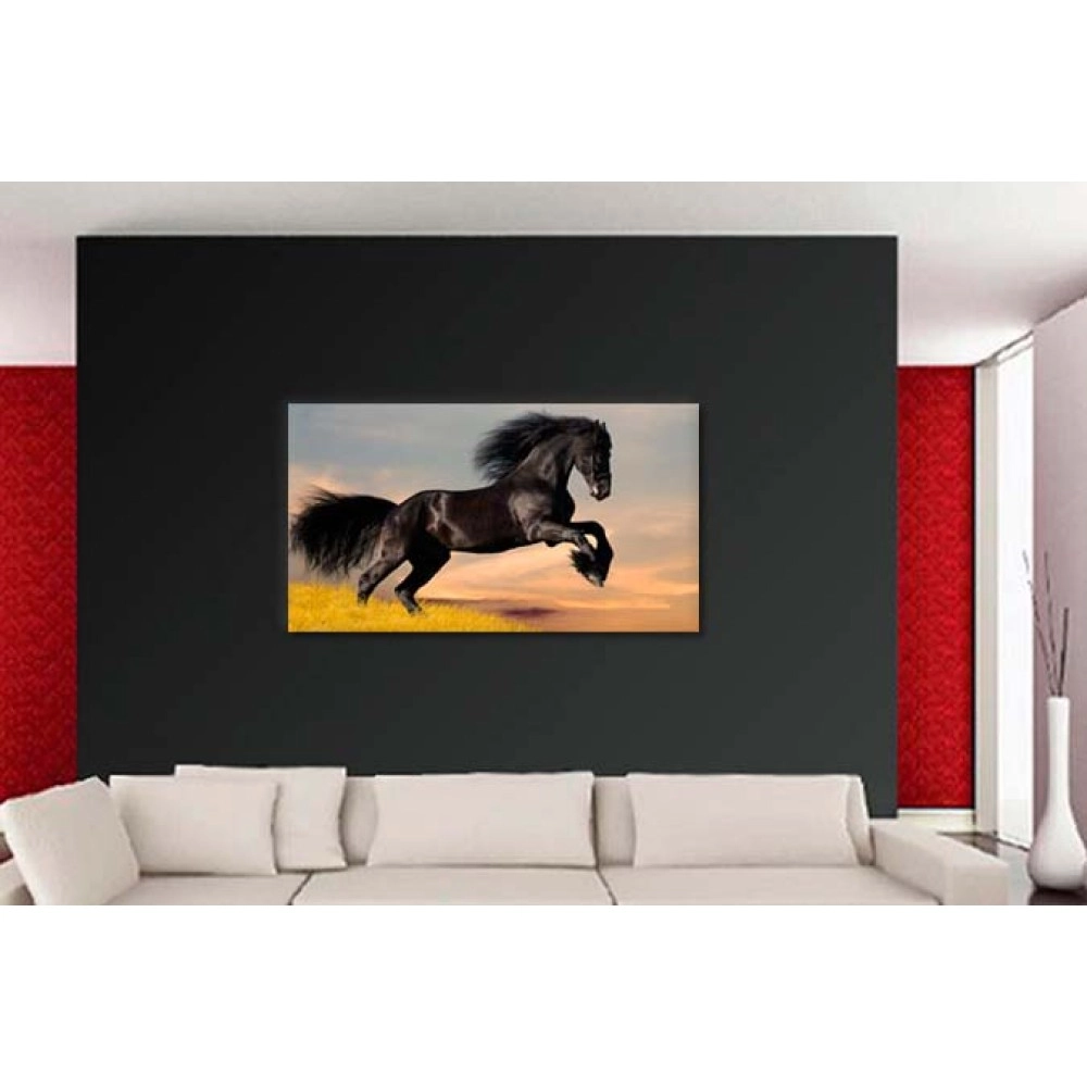 Tablouri canvas Cal rasa Friesian 1920