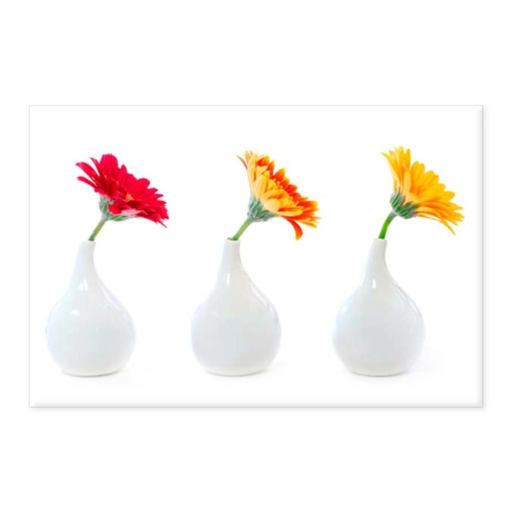 Tablouri canvas Gerbera 22017