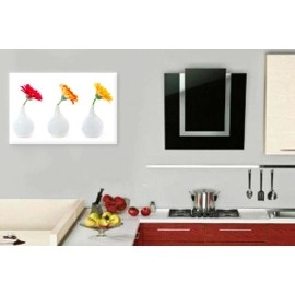 Tablouri canvas Gerbera 22017