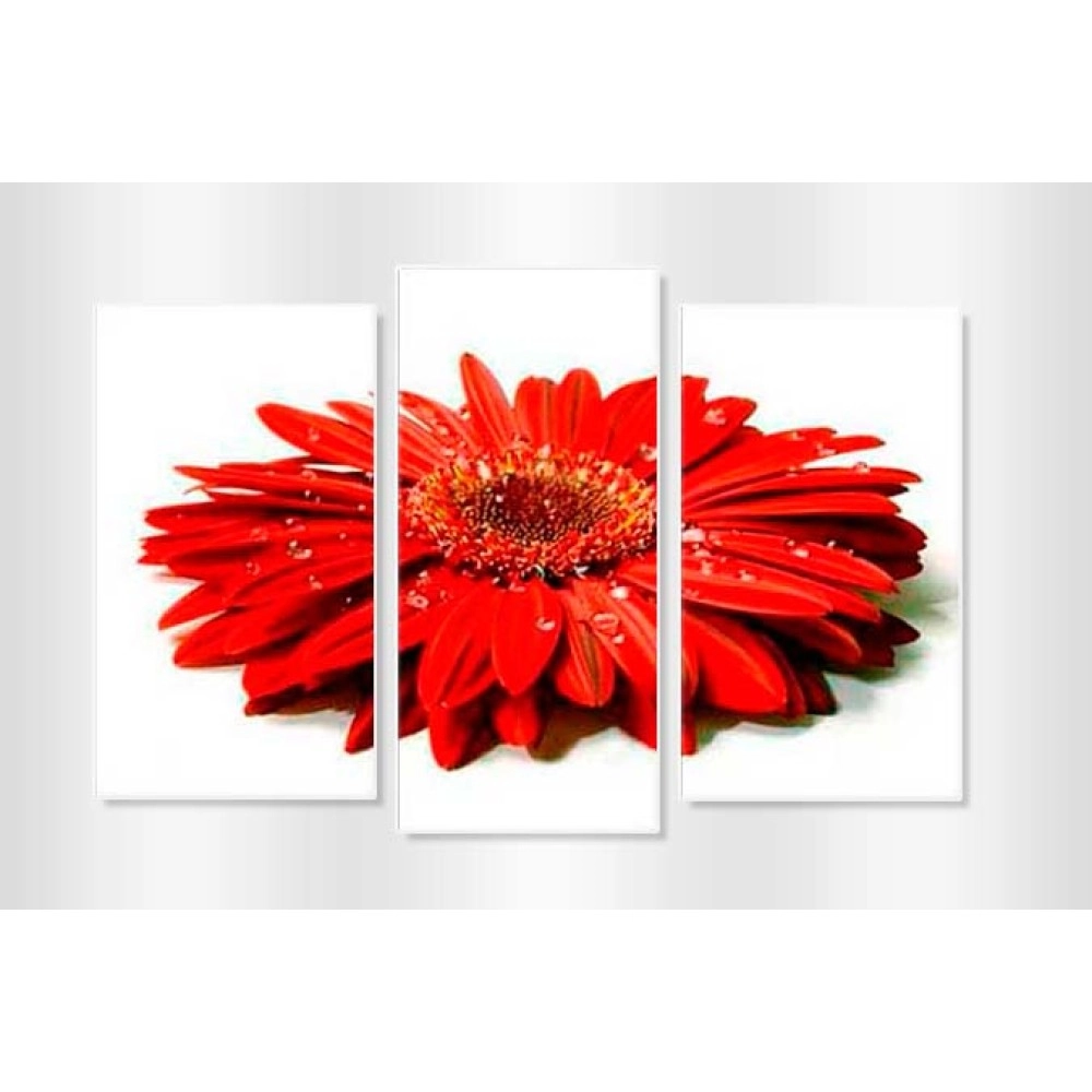 Tablouri canvas Gerbera rosie 5372