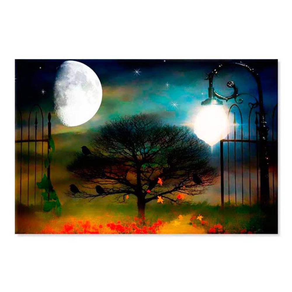 Tablouri canvas Abstract Gradina 1672