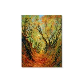 Tablouri canvas Haloiu padure pustie 50651