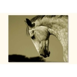 Tablouri canvas Cal cabrat 2029