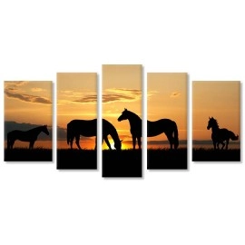 Tablouri canvas Cai in asfintit 10991