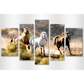 Tablouri canvas Cai in alergare 3431